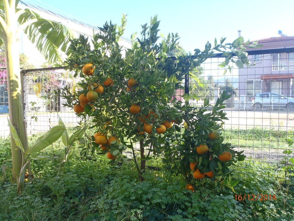 Sirin Bed & Breakfast 2*